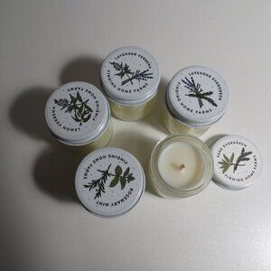 5 mini Travel Finding Home Farms Candles - Soy #80